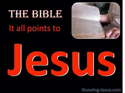 It All Points To Jesus (devotional)05-11 (red)